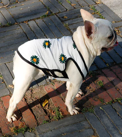 French Bulldog Summer Vest for Small & Medium Breeds