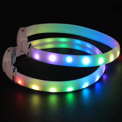 LED dog collar with multicolor lights on a black background