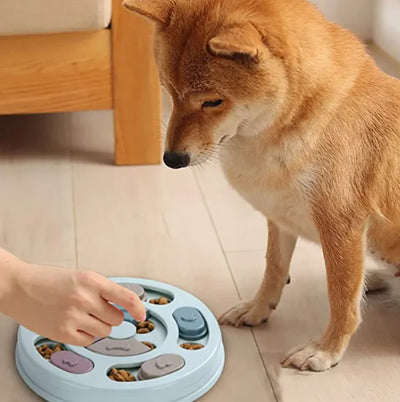 Dog eating from BrainFood Pro interactive puzzle feeding bowl for slow feeding and mental stimulation
