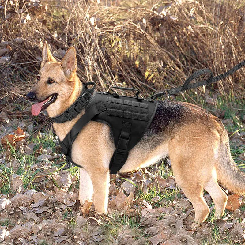 TacticalPro K9 Chest Harness - Premium Control & Comfort System