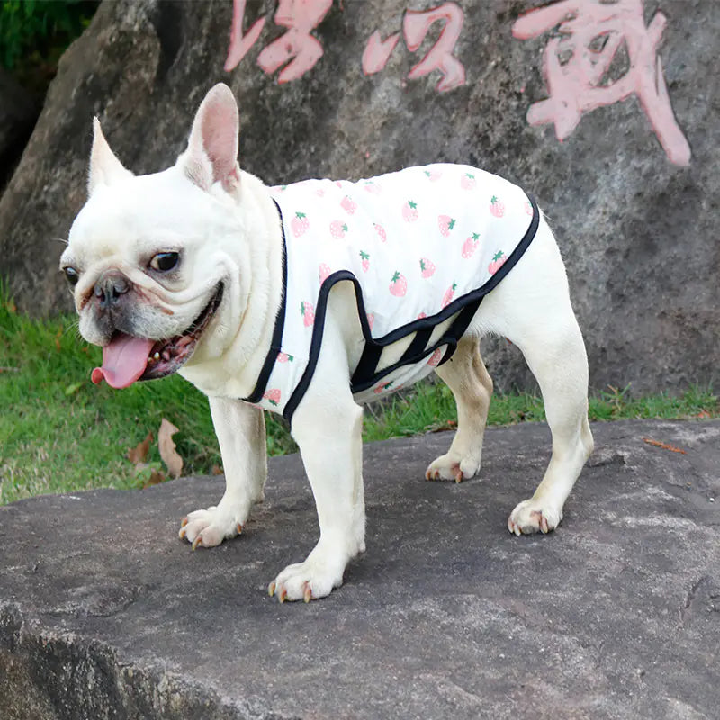French Bulldog Summer Vest for Small & Medium Breeds