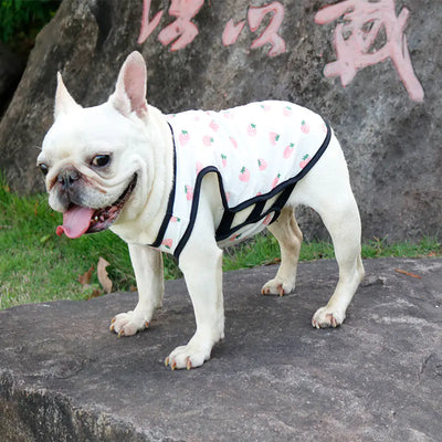French Bulldog Summer Vest for Small & Medium Breeds
